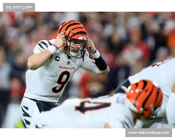 德州人分区赛以23比14击败酋长晋级美联决赛 德州人分区赛以23比14击败酋长晋级美联决赛